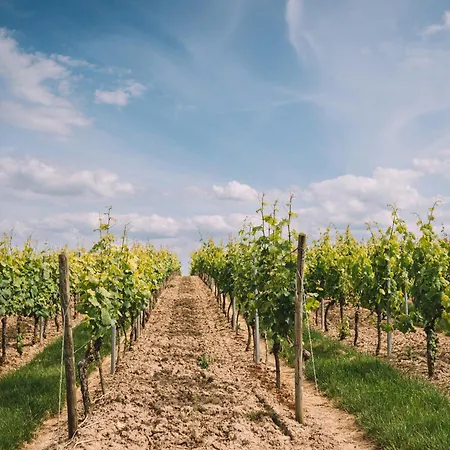 Weingut Petershof * Alzey