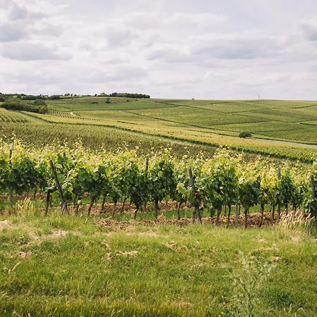 Appartement Weingut Petershof