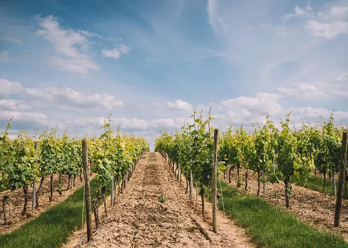 Weingut Petershof * אלזיי