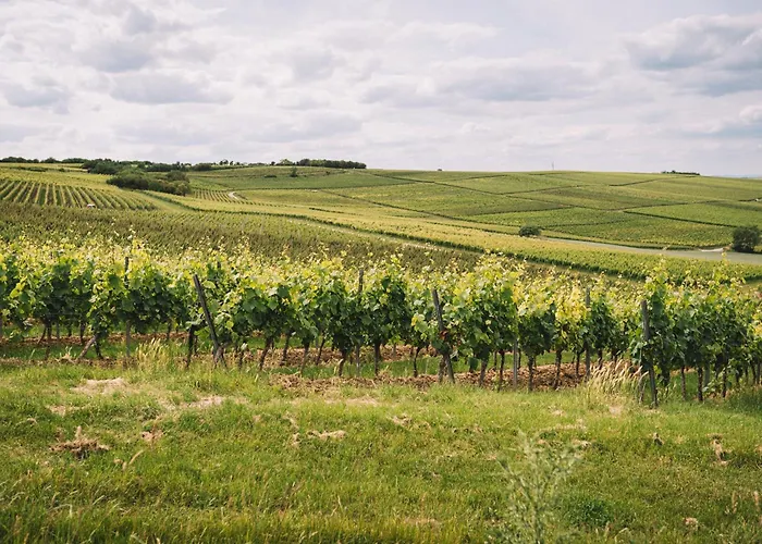 דירה Weingut Petershof